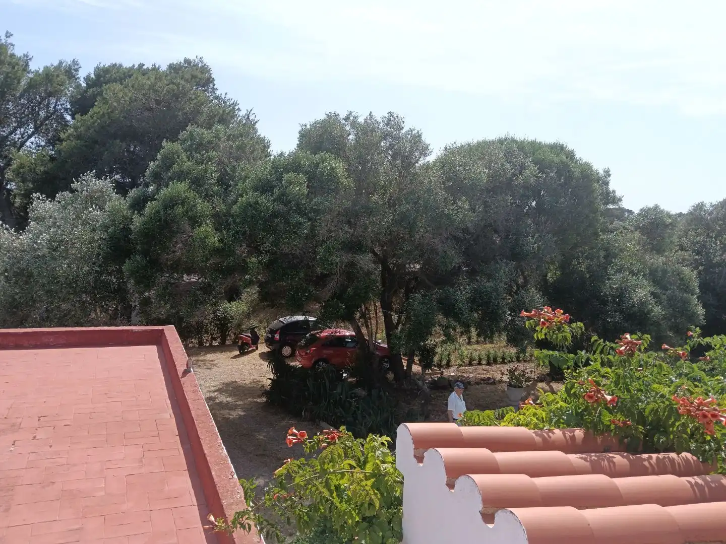 Jardí de Pis en venda en Alaior amb Calefacció, Jardí privat i Terrassa