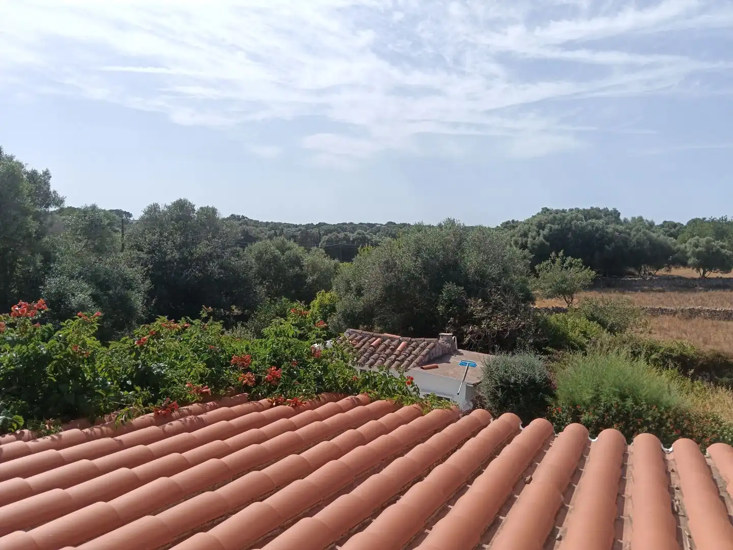 Pis en venda en Alaior amb Calefacció, Jardí privat i Terrassa