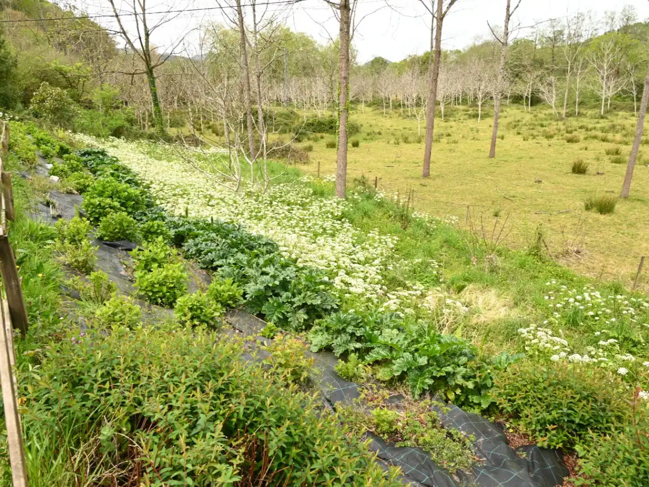 Casa o xalet en venda a Valdáliga Jardí de Casa o xalet en venda en Valdáliga amb Terrassa i Balcó