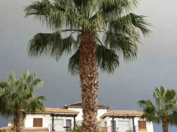 Detached homes for sale in Calle Tomillo, 2, Las Salinas Exterior view of Detached homes for sale in Vera with Air Conditioner, Heating and Private garden