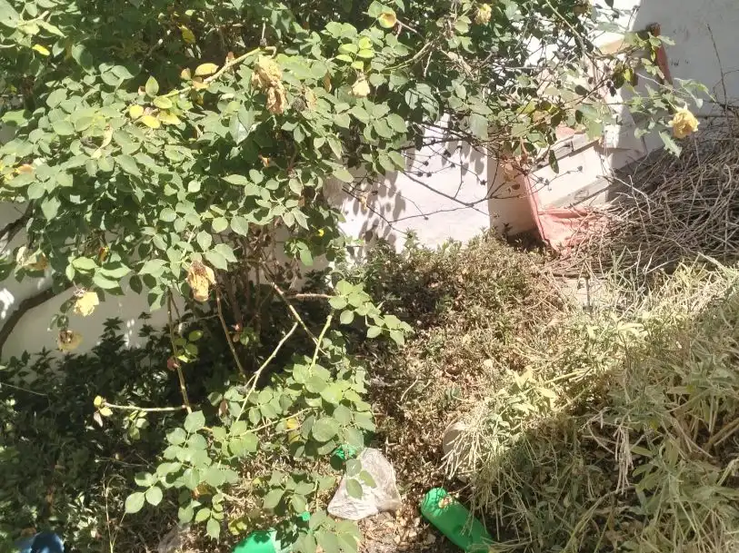 Casa adosada en venda a Calle Postas, 84, Los Palacios y Villafranca Jardí de Casa adosada en venda en Los Palacios y Villafranca amb Jardí privat, Terrassa i Moblat