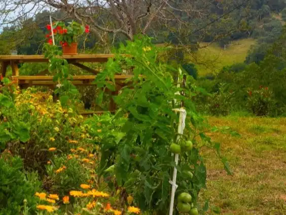 Einfamilien-Reihenhaus zum Verkauf in Lugar Lozana, 24, Piloña Garten von Einfamilien-Reihenhaus zum Verkauf in Piloña mit Terrasse