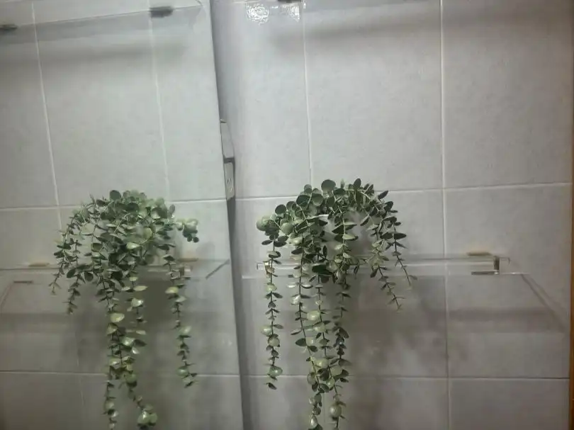 Baño de Piso de alquiler en Barcelona con Parquet, Terraza y Amueblado