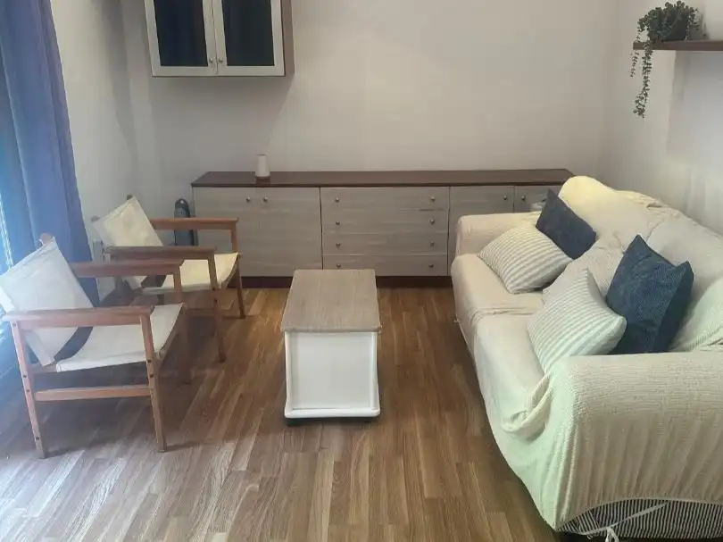 Sala de estar de Piso de alquiler en Barcelona con Parquet, Terraza y Amueblado