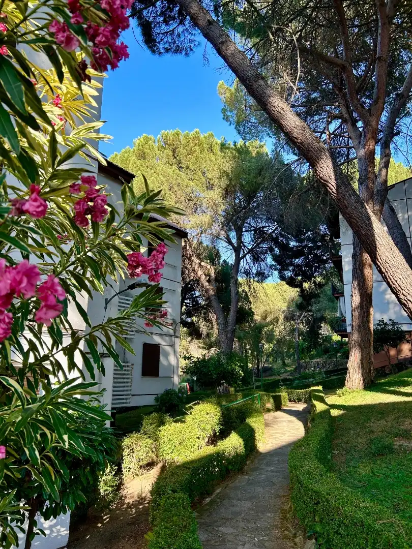 Piso de alquiler en Calle de Colon, 2, San Martín de Valdeiglesias Jardín de Piso de alquiler en San Martín de Valdeiglesias con Calefacción, Jardín privado y Parquet