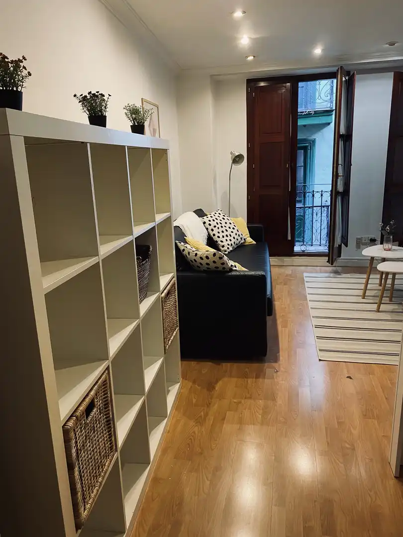 Flat for rent in Calle Jesús de Monasterio, 9, Centro - Ayuntamiento Living room of Flat for rent in Santander with Terrace