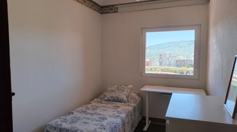Piso de alquiler en Calle Luis de Miranda, 5, Los Pinos - El Pilar, Plasencia - imagen 3 Foto 3 de Piso de alquiler en Calle Luis de Miranda, 5, Los Pinos - El Pilar, Plasencia