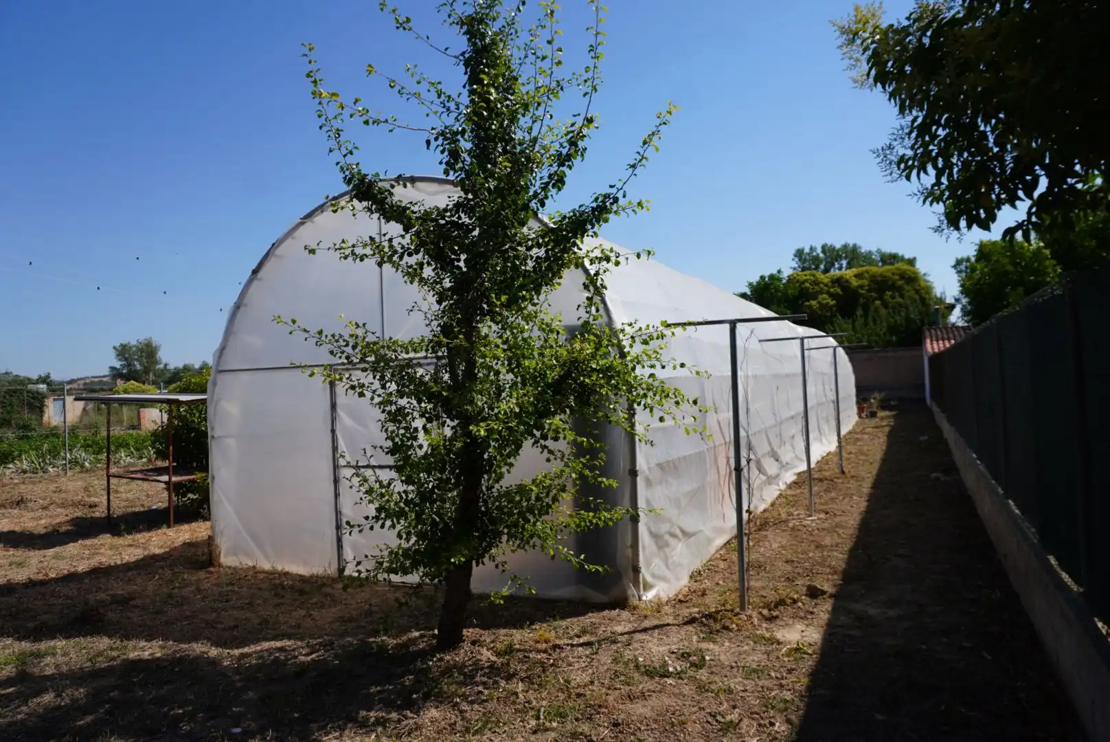 Land for sale in Calle Rúa de Medios, 23, Olite / Erriberri Garden of Land for sale in Olite / Erriberri