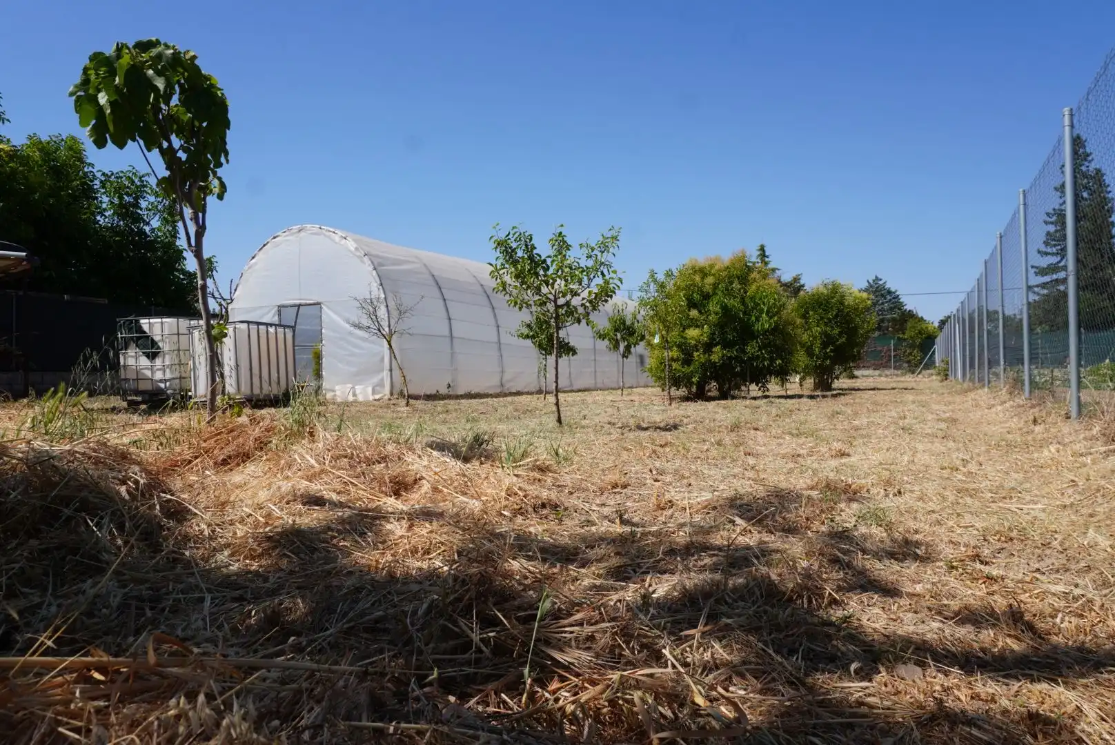Land for sale in Calle Rúa de Medios, 23, Olite / Erriberri Land for sale in Olite / Erriberri