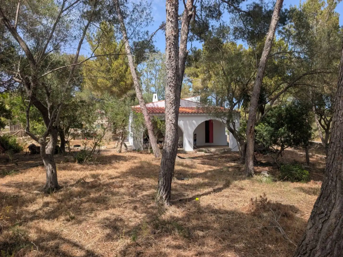 Jardí de Casa o xalet en venda en Manacor amb Jardí privat i Terrassa