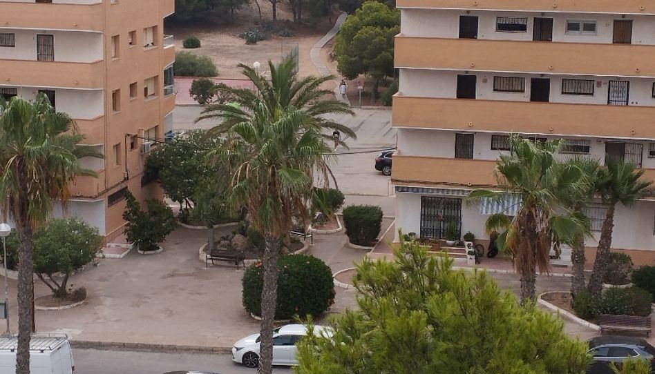 Wohnung zum Verkauf in Urbanización Pinomar, 133, El Moncayo - El Pòrtic, Guardamar del Segura - Bild 1 Foto 1 von Wohnung zum Verkauf in Urbanización Pinomar, 133, El Moncayo - El Pòrtic, Guardamar del Segura