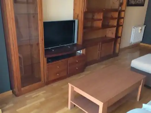 Sala d'estar de Pis de lloguer en Madrid amb Calefacció, Jardí privat i Parquet