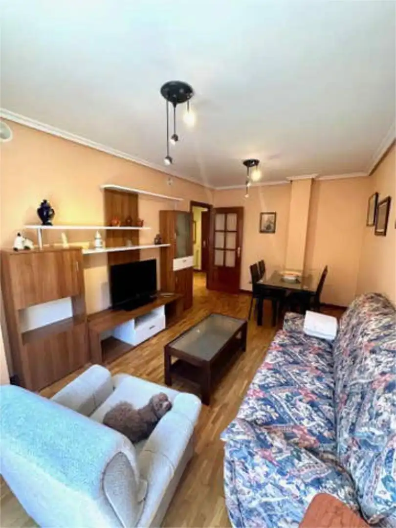 Sala d'estar de Pis de lloguer en Aguilar de Campoo amb Calefacció i Moblat