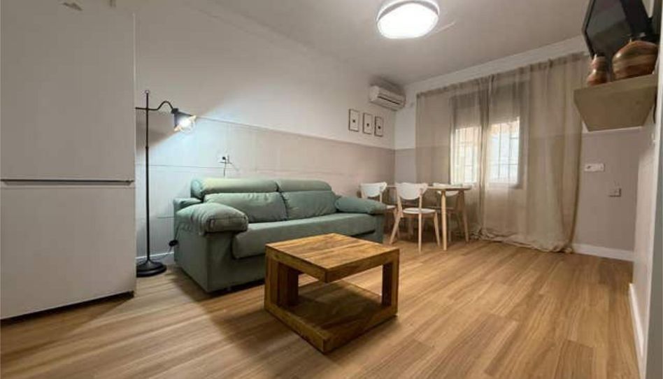 Flat for rent in Castro del Río, Córdoba - image 1 Photo 1 of Flat for rent in Castro del Río, Córdoba