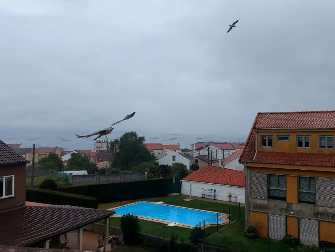 Pis en venda a Camiño Brañal, 6, Palmeira Piscina de Pis en venda en Ribeira amb Terrassa, Traster i Piscina
