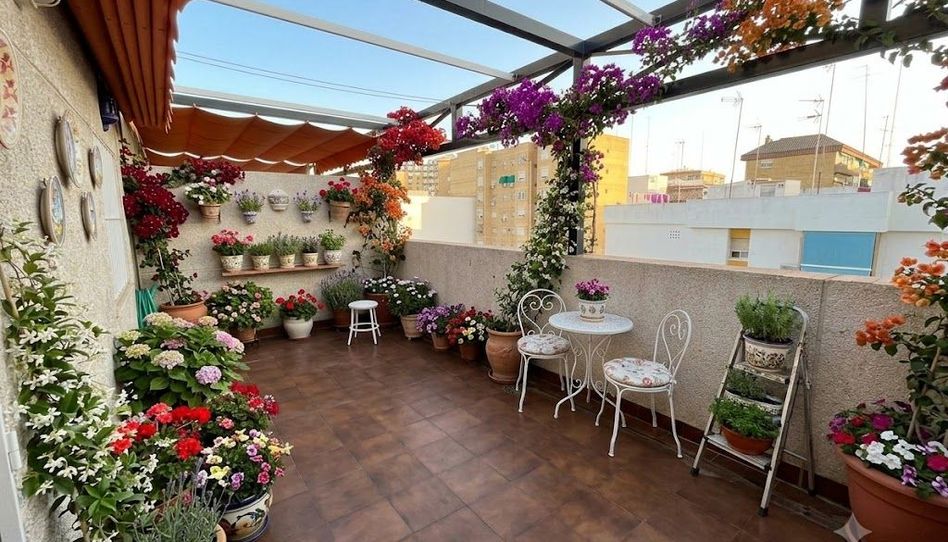 Ático de alquiler en Calle Fernández de Ribera, 44, Ciudad Jardín, Sevilla Capital - imagen 1 Foto 1 de Ático de alquiler en Calle Fernández de Ribera, 44, Ciudad Jardín, Sevilla Capital