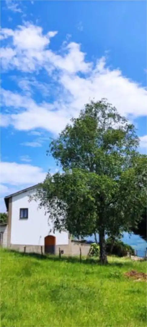 Vista exterior de Casa o xalet de lloguer en Tineo amb Calefacció, Jardí privat i Traster