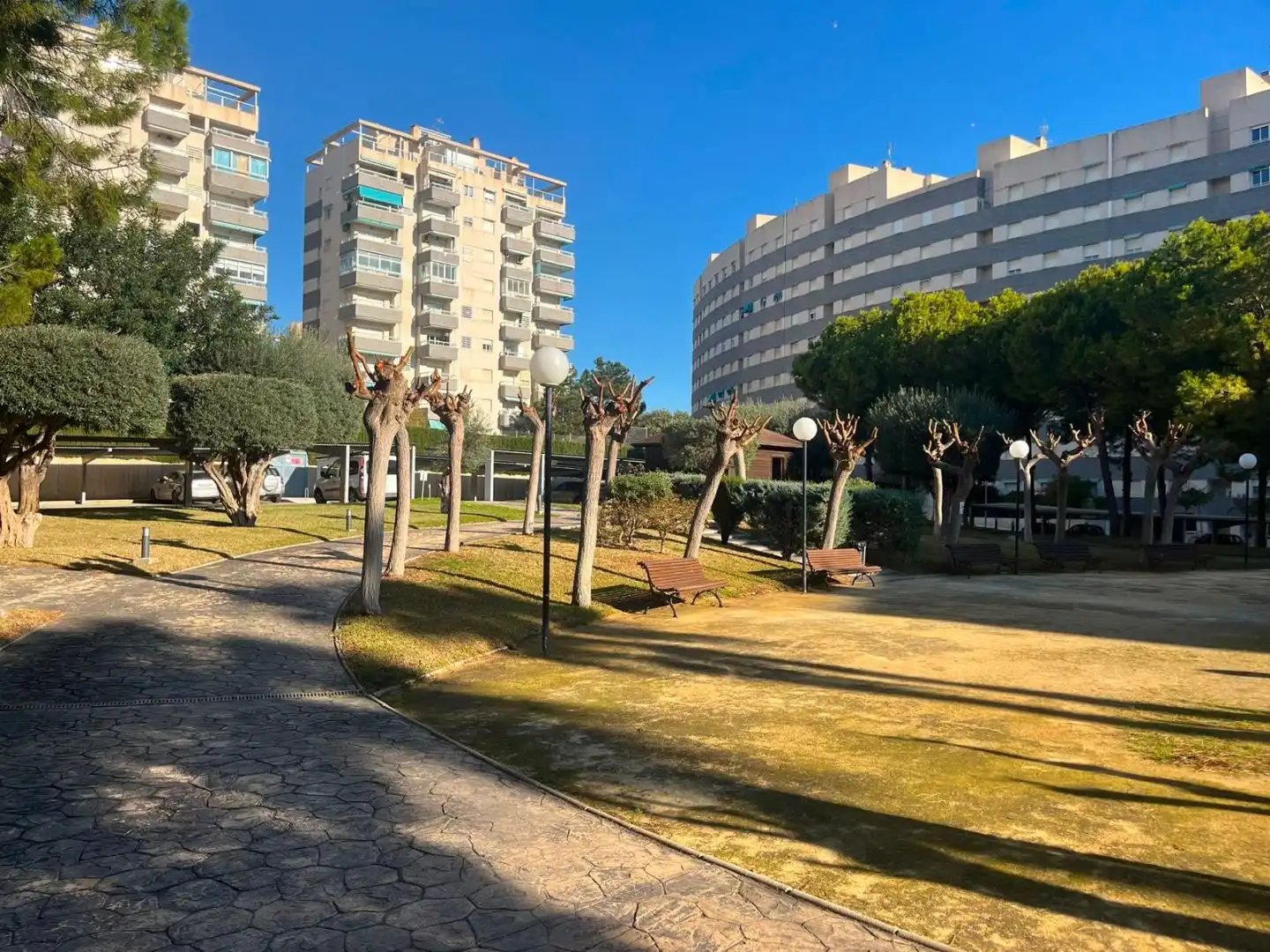 Piso de alquiler en Camí de Fondo, 3, Playa Muchavista
