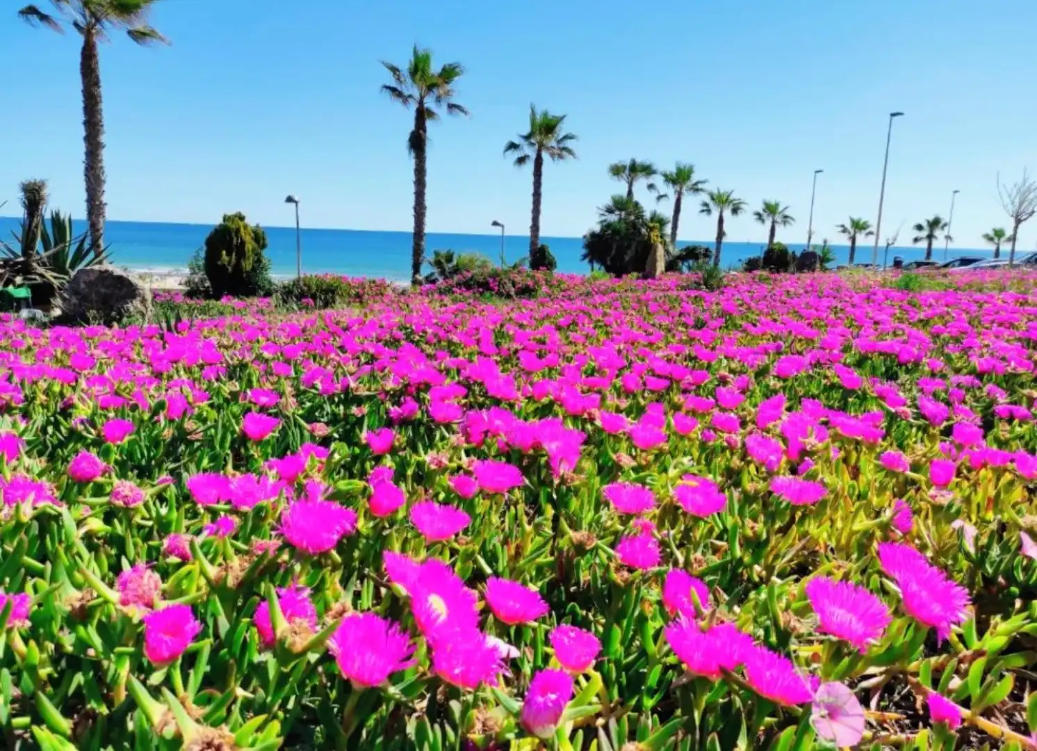 Wohnung zur Miete in Avenida de Levante, 34, Torre de la Horadada Wohnung zur Miete in Avenida de Levante, 34, Torre de la Horadada