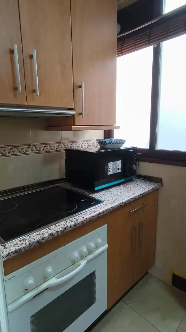 Kitchen of Flat for rent in Sevilla  with Air Conditioner, Heating and Terrace
