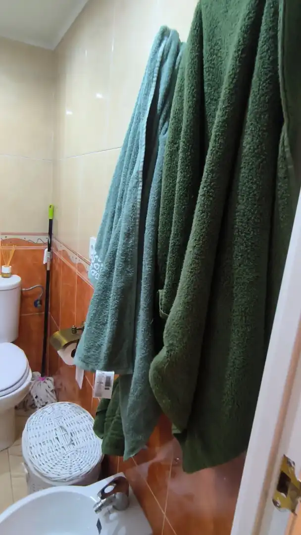 Bathroom of Flat for rent in Sevilla  with Air Conditioner, Heating and Terrace