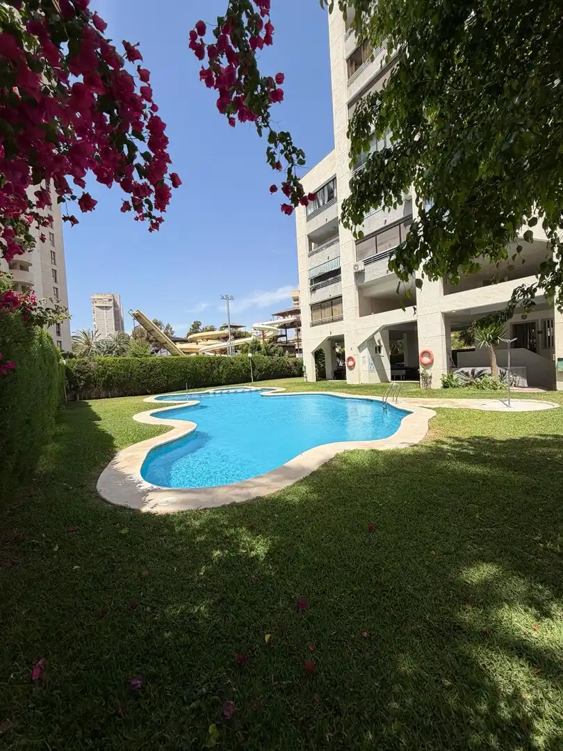 Schwimmbecken von Wohnung zur Miete in Finestrat mit Klimaanlage, Privatgarten und Schwimmbad