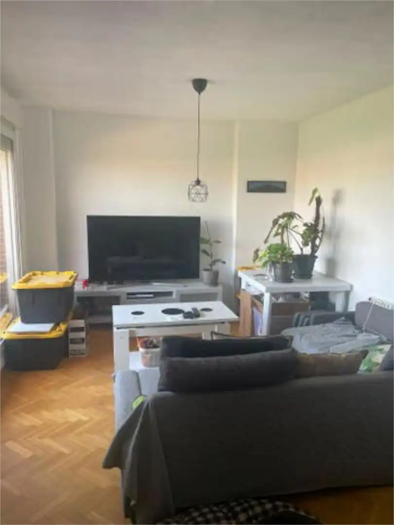 Sala d'estar de Àtic de lloguer en Madrid amb Calefacció, Jardí privat i Terrassa