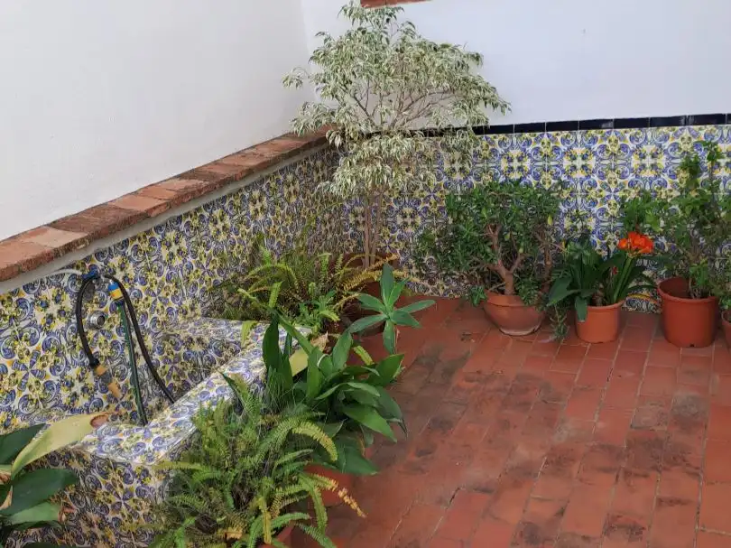 Terraza de Casa o chalet en venta en Málaga Capital con Aire acondicionado y Terraza