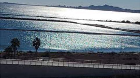Piso de alquiler en Tomás Maestre, La Manga del Mar Menor - imagen 2 Foto 2 de Piso de alquiler en Tomás Maestre, La Manga del Mar Menor