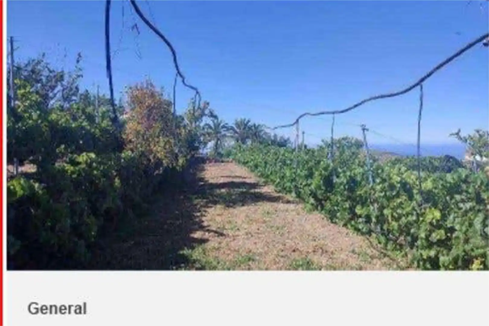 Houses for sale in Alajeró  with Private garden, Terrace and Storage room