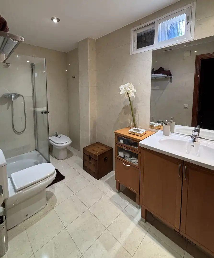 Piso de alquiler en Calle Gobernador Fernández Jiménez, 20, Centro Baño de Piso de alquiler en Segovia con Calefacción, Parquet y Amueblado