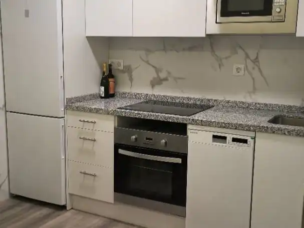 Kitchen of Apartments for rent in León Capital 