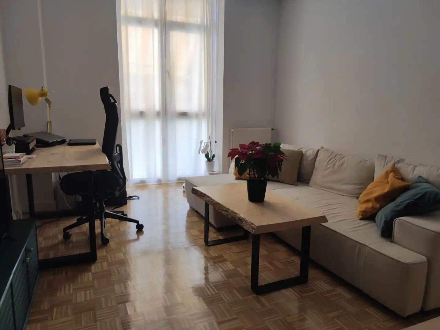 Sala de estar de Piso de alquiler en Madrid con Aire acondicionado, Calefacción y Jardín privado