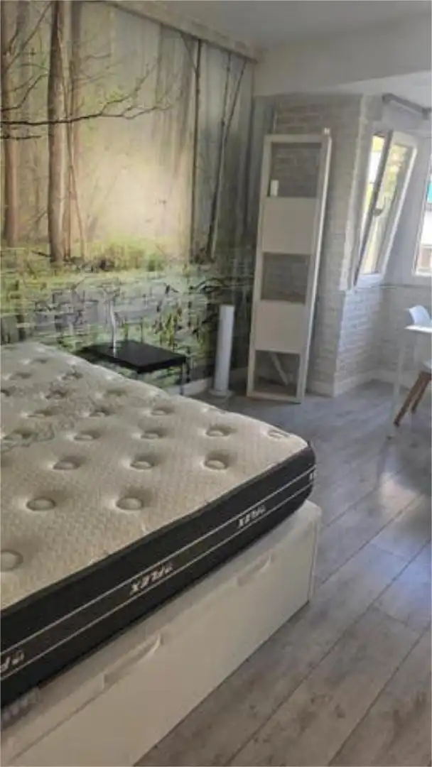 Habitación de Estudio de alquiler en Madrid con Jardín privado y Amueblado