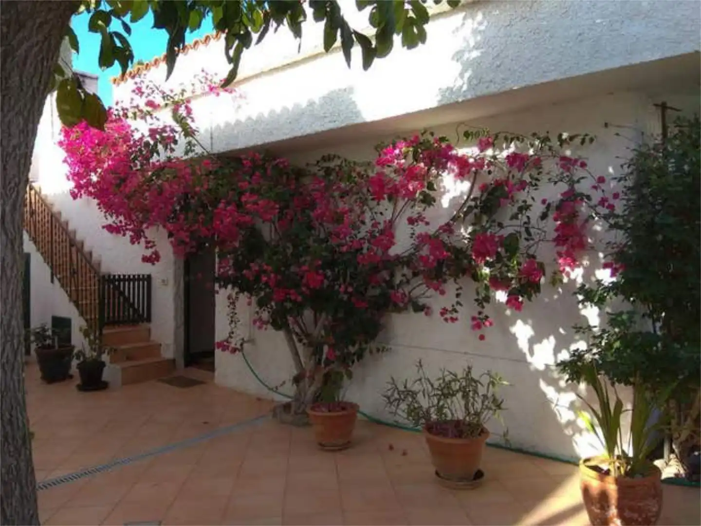 Jardí de Casa adosada de lloguer en Los Realejos amb Jardí privat i Terrassa