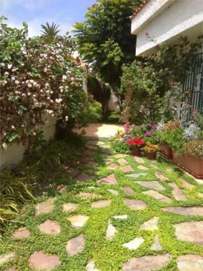 Jardí de Casa adosada de lloguer en Los Realejos amb Jardí privat i Terrassa