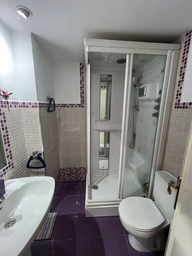 Baño de Piso de alquiler en Madrid con Aire acondicionado, Calefacción y Jardín privado