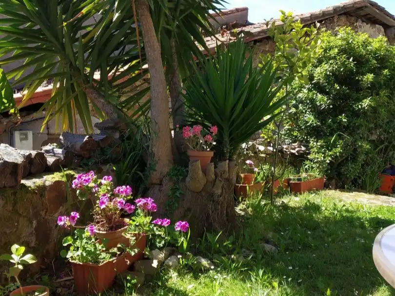 Garten von Country house zum Verkauf in Ribadesella mit Privatgarten, Abstellraum und Möbliert