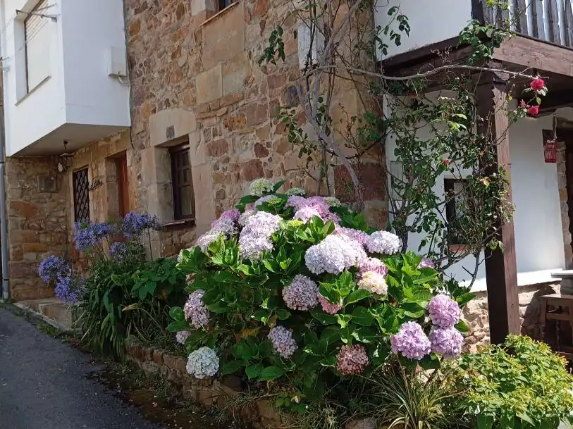 Garten von Country house zum Verkauf in Ribadesella mit Privatgarten, Abstellraum und Möbliert