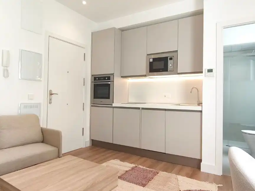 Apartament de lloguer a Calle de Eguilaz, 4, Trafalgar Cuina de Apartament de lloguer en Madrid Capital amb Aire condicionat