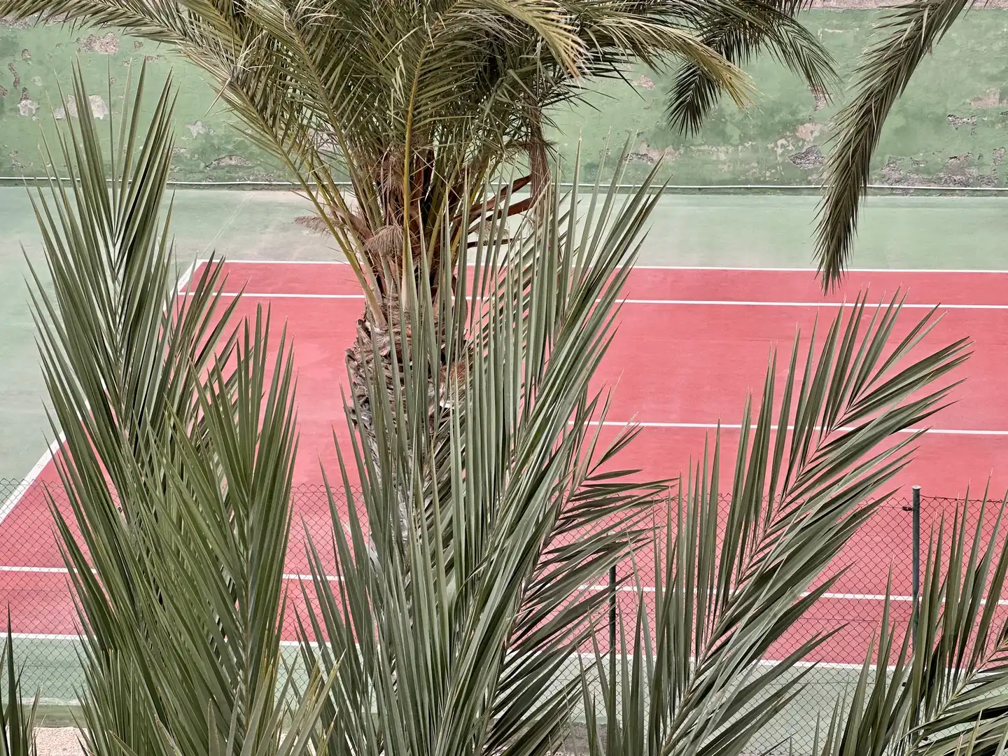 Jardín de Piso en venta en Adeje con Terraza y Piscina