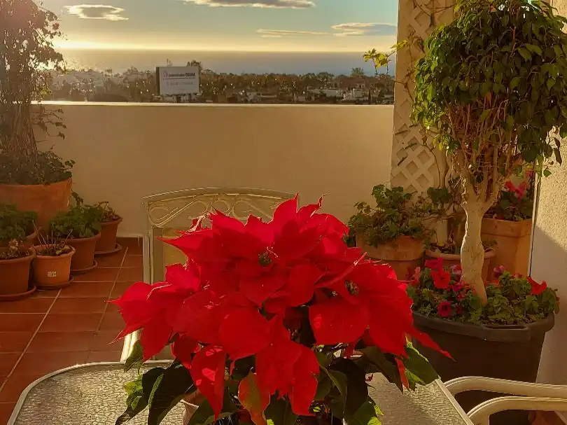 Balcony of Attic for sale in Marbella  with Air Conditioner, Terrace and Swimming Pool