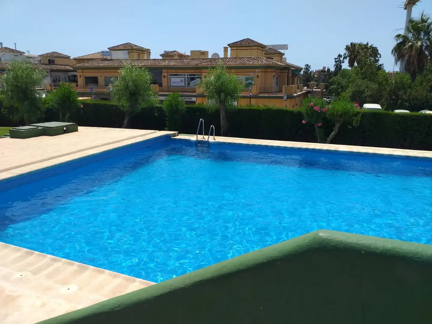 Swimming pool of Study for rent in Estepona  with Swimming Pool, Furnished and Oven