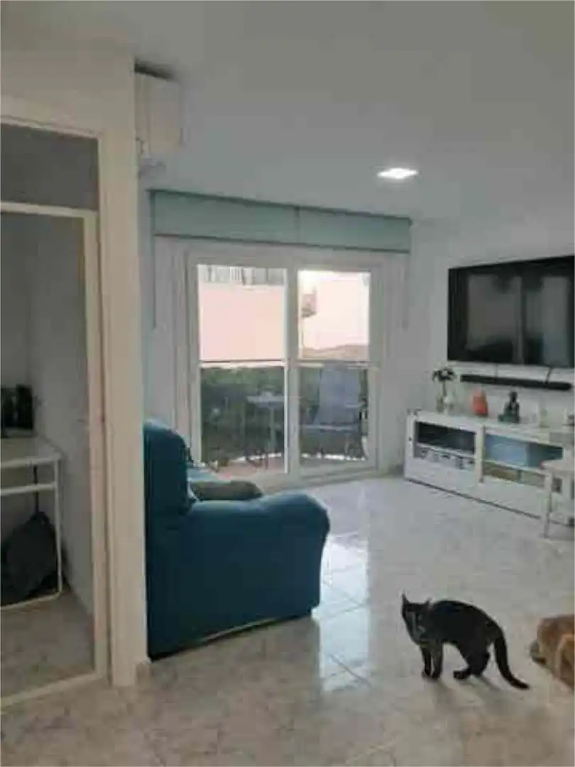 Wohnzimmer von Wohnung zum Verkauf in  Palma de Mallorca mit Heizung, Terrasse und Abstellraum