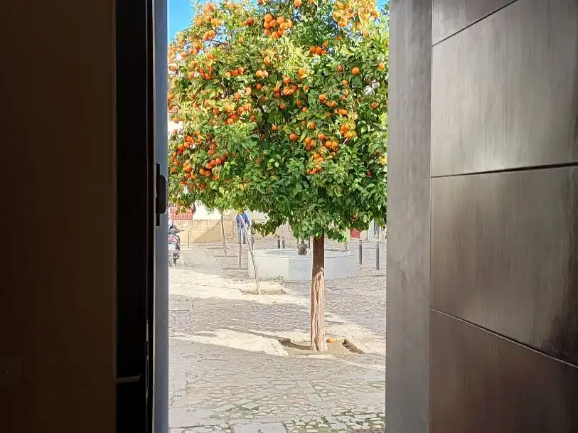 Exterior view of Flat for rent in Jerez de la Frontera  with Air Conditioner, Heating and Furnished