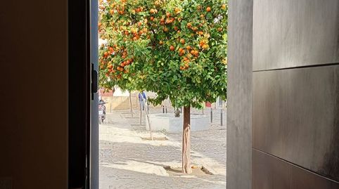 Photo 3 of Flat for rent in Plaza Mirabal, 1, Centro, Jerez de la Frontera