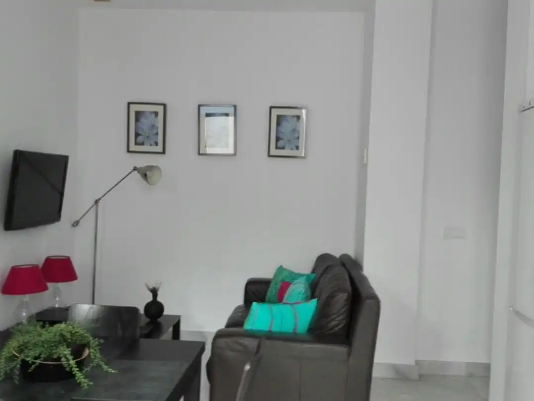 Living room of Flat for rent in Jerez de la Frontera  with Air Conditioner, Heating and Furnished