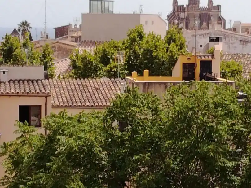 Attic for rent in Carrer de la Gerreria, 15, El Sindicat