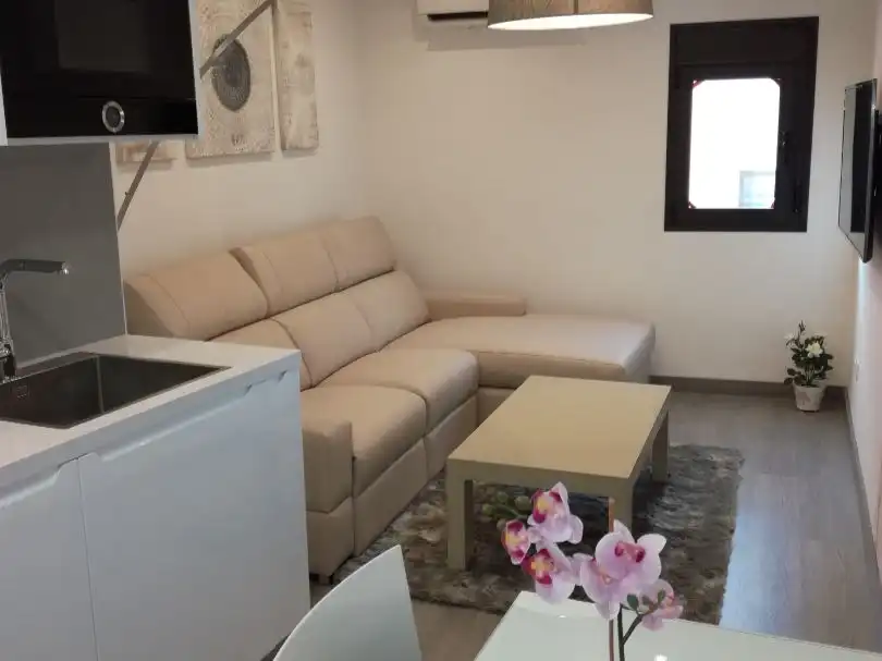 Attic for rent in Carrer de la Gerreria, 15, El Sindicat