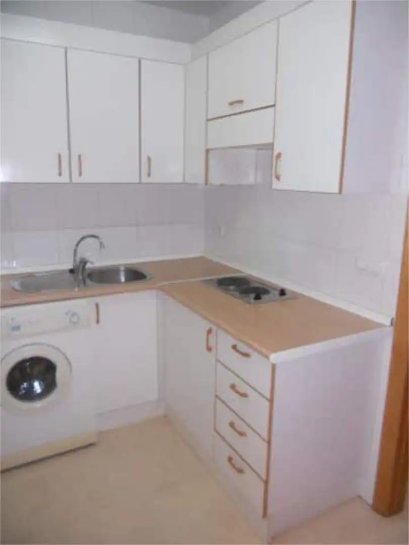 Kitchen of Apartments for rent in Murcia  with Pets allowed